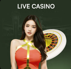 太阳报：格拉利什养伤期间学习DJ课程，艺名为DJ Grealo