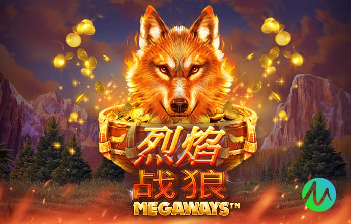 金刚app官方下载入口